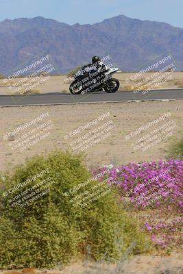 media/Mar-12-2023-SoCal Trackdays (Sun) [[d4c8249724]]/Turn 15 Inside Bloom (130pm)/